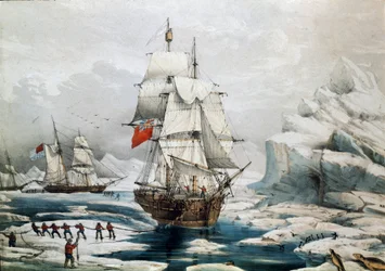 Polar Expedition in the Arctic: English and American Ships Trapped in Ice