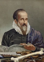 Portrait of Ambroise Paré (1509-1590), French Surgeon. From La Ciencia y sus Hombres by Louis Figuier. Barcelona 1881