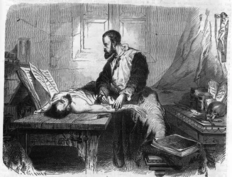 Portrait of André Vésale (1514-1564), Dutch anatomist (In Latin: Andrea Vesalius, Dutch: Andries Van Wesel). Engraving from 1866.