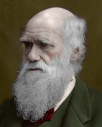 Portrait of Charles Darwin