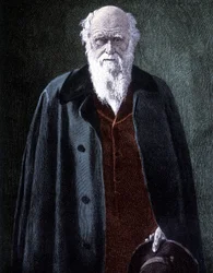 Portrait of Charles Darwin