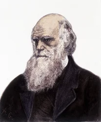 Portrait of Charles Robert Darwin, British Naturalist (1809-1882)