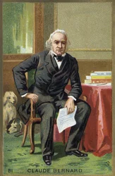Portrait of Claude Bernard (1813-1878), French physiologist