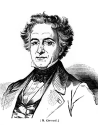 Portrait of Eugene Chevreuil (1786-1889), French painter