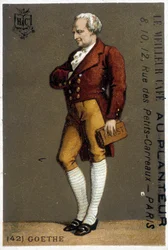 Portrait of Goethe
