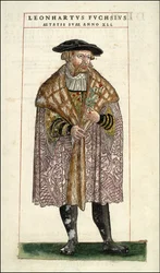 Portrait of Leonhart Fuchs: Botanist - German Doctor (1501 - 1566) - in 