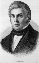 Portrait of Michel Goudchaux