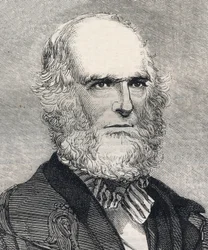 Portrait of William Cullen Bryant, American poet. Engraving in 
