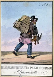Poultry dealer - Engraving of the 19th century