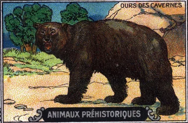 Prehistoric Animal: Cave Bear