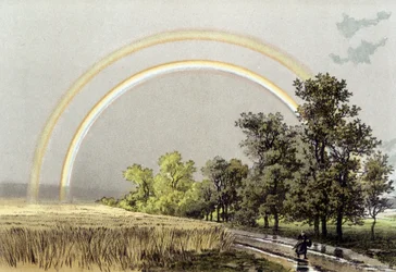 Rainbow - in 
