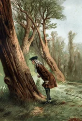 René Antoine Ferchault de Réaumur (1683-1757), French physicist and naturalist, studying the morals of caterpillars. after 