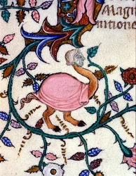 Representation of a monster with an ostrich body and a human head. Miniature from a 14th-century manuscript. Milan, Biblioteca Nazionale Braidense.
