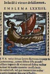 Representation of a Remora. Engraving from a 17th century Work