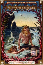 Representation of Newts, Legendary Creatures Half Man Half Fish