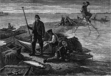 Return of Salmon Fishing on the Banks of the Rhine
