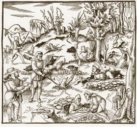 Rhabdomancy - Exploration of a Mining Field Using the Divinatory Wand - From 