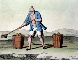 Rice Cultivation in China (19th Century Print)