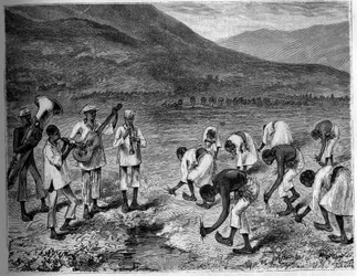 Rice planting in the Philippines. Engraving in The Youth Journal