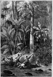 Road development in Central America: Piercing through the Isthmus of Panama. Raft descending the course of the Rama. From a drawing of a Captain Bedford Pim