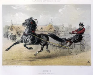Russia: Orloff breed trotter - in The Centaur 1867