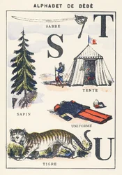 S T U: saber, fir, tent, tiger, uniform
