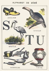 S T U: shoe, spatula, toucan, utensils, urn