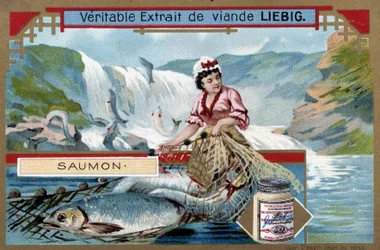 Salmon Fishing - Chromo of the 19th Century
