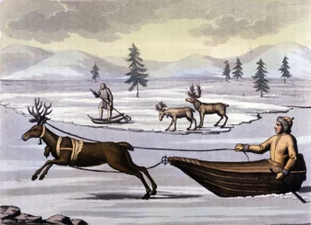 Sami people: indigenous people living in the lands of the northern countries (Norway, Finland, Sweden and Russia) move by reindeer toboggan or by skis. Engraving of the 19th century