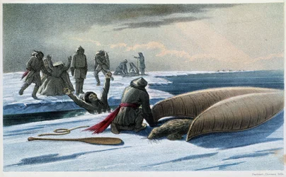 Seal Hunting: 