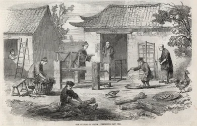 Silk production in China and the various stages of manufacturing.