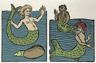 Siren or Virgin of the Sea, Monkey and Sea Turk