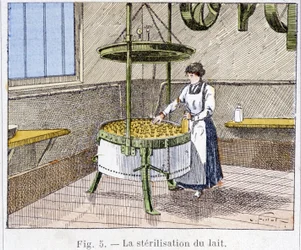 Sterilization of milk - engraving, late 19th century