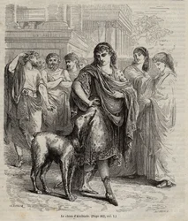 The Dog of Alcibiades - engraving from 1864