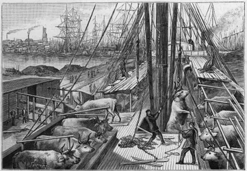 The English steamer 