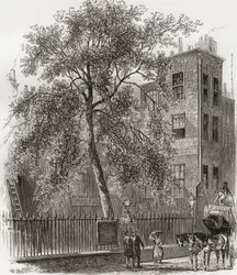 The Plane Tree, Wood Street, Cheapside, London, England in the 19th century