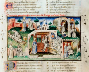 The Roman of the Rose: How Pygmalion fell in love with the statue he had made