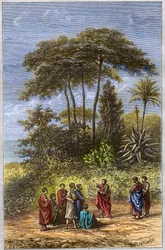 The School of Pythagoras - Pythagoras Among His Pupils in Crotona - Engraving 1879 - The Philosopher Pythagoras and His Disciples Under the Shading of Crotone, Engraving of 1879.