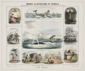 The Whale, c. 1845