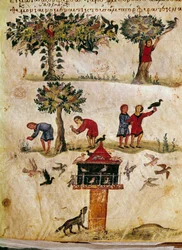 The breeding and training of falcons from 