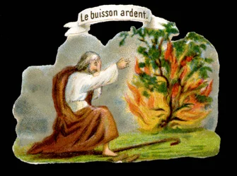 The Burning Bush