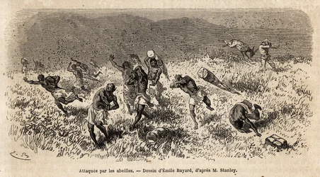 The caravan of carriers of Henry Morton Stanley