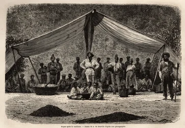 The Common Meal of the Workers After the Collection of Coffee Beans, Which Dry on the Ground in the Foreground; in the Center of the Image, the Owner of the Plantation. Engraving to Illustrate the Voyage to Brazil, Story by M.
