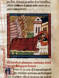 The Dream of Pharaoh King of Egypt: The Vision of the Seven Lean Cows and the Seven Fat Cows