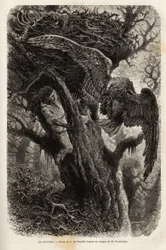 The eagle protecting his nest from the intruder. Engraving to illustrate the story Four months in Florida, by M. Pousselgue, in 1851-1852, published in le tour du monde, under the direction of Edouard Charton, Hachette, Paris 1869. Selva Collection