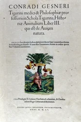 The frontispiece of the third volume by Historia Animalium by Conrad Gesner