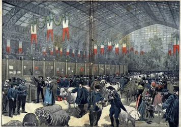 The general agricultural competition of Paris