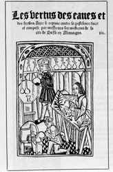 The Shop of an Apothecary in the 16th Century