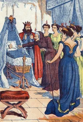 The Wicked Fairy Predicts the Princess Will Pierce Her Hand. Illustration for 