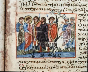 The wounds of Egypt: the invasion of the Frogs